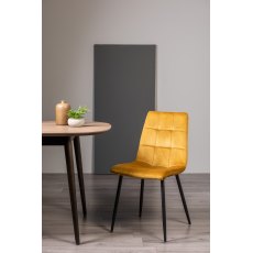 Mondrian - Mustard Velvet Fabric Chairs with Black Legs (Pair)