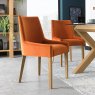Premier Collection Ella Light Oak Scoop Back Chair - Harvest Pumpkin Velvet Fabric  (Pair)
