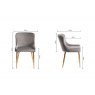 Gallery Collection Cezanne - Grey Velvet Fabric Chairs with Gold Legs (Pair)