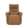 Premier Collection Enzo Tan Recliner Armchair