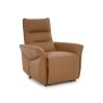 Premier Collection Enzo Tan Recliner Armchair