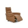 Premier Collection Enzo Tan Recliner Armchair