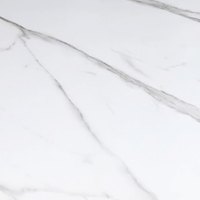 White Gloss Sintered Stone