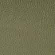 Green Leather